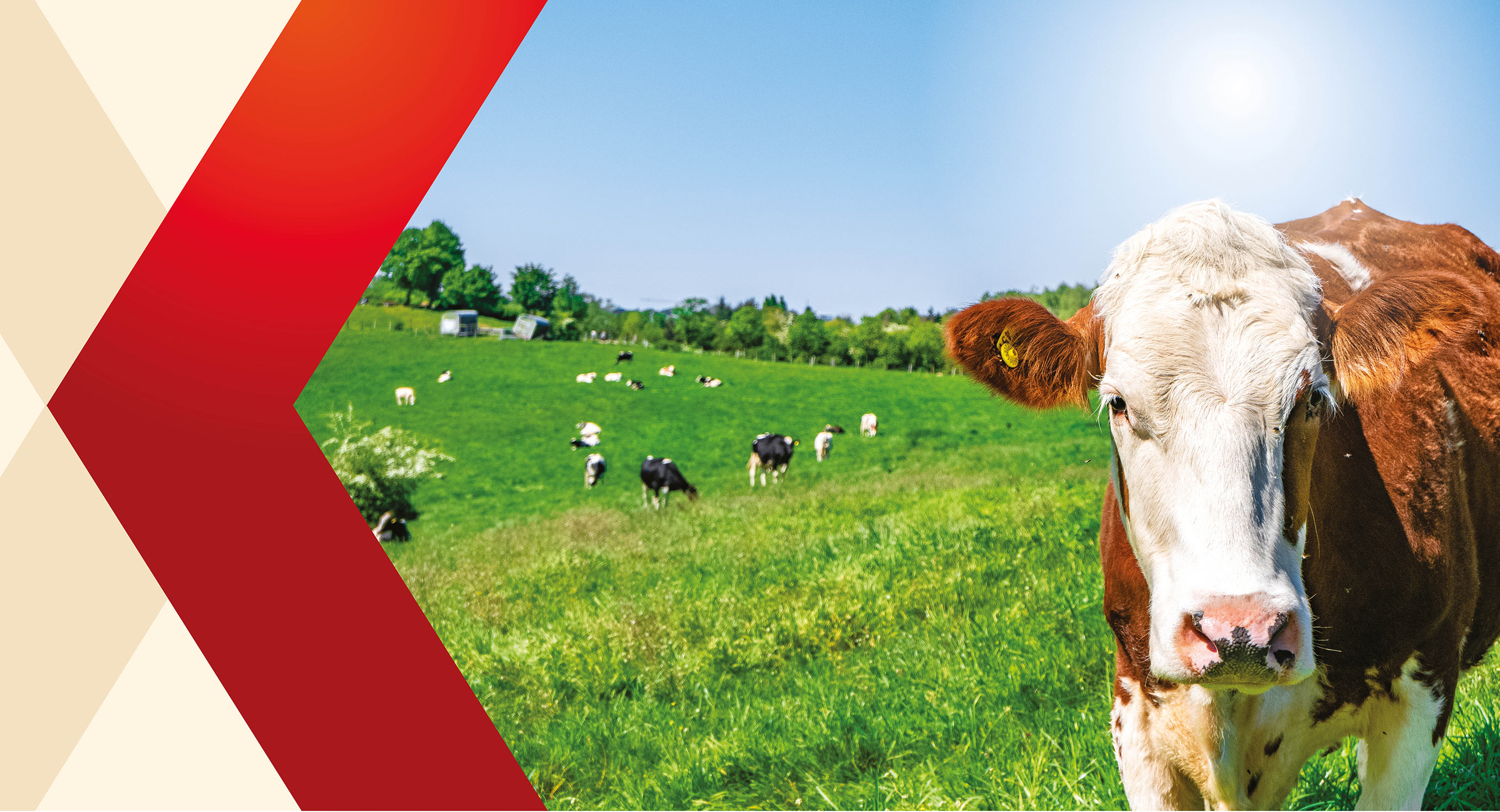 Farmářské automaty